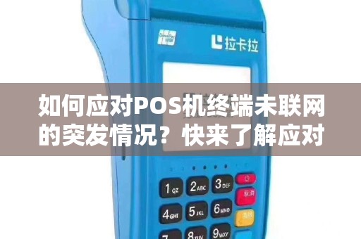 如何应对POS机终端未联网的突发情况？快来了解应对方法！