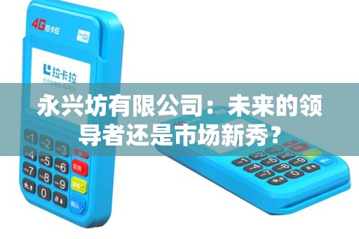 永兴坊有限公司：未来的领导者还是市场新秀？