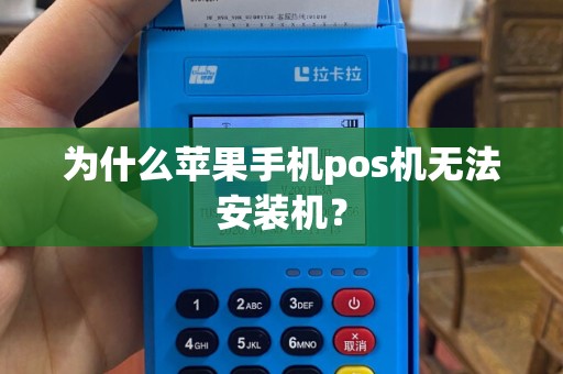 为什么苹果手机pos机无法安装机？