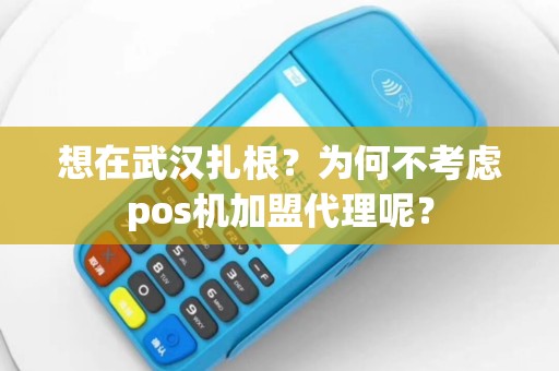 想在武汉扎根？为何不考虑pos机加盟代理呢？
