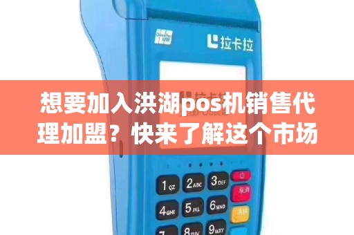 想要加入洪湖pos机销售代理加盟？快来了解这个市场的机会吧！