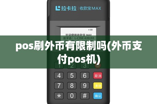 pos刷外币有限制吗(外币支付pos机)