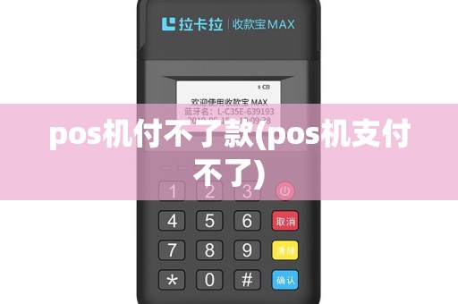 pos机付不了款(pos机支付不了)