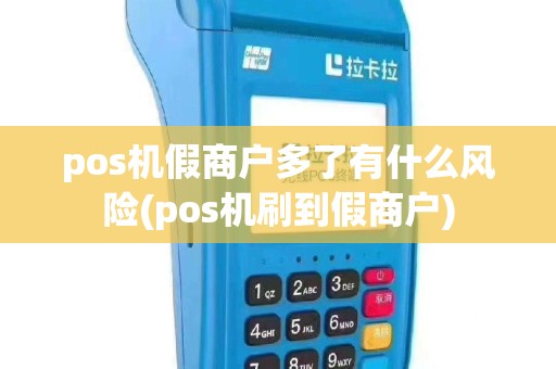 pos机假商户多了有什么风险(pos机刷到假商户)