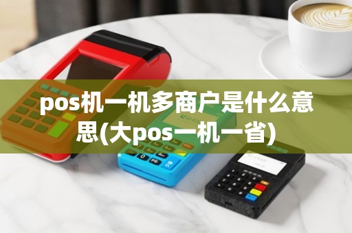 pos机一机多商户是什么意思(大pos一机一省)