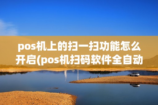 pos机上的扫一扫功能怎么开启(pos机扫码软件全自动)