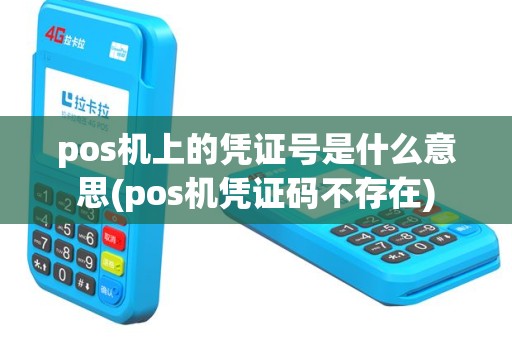 pos机上的凭证号是什么意思(pos机凭证码不存在)