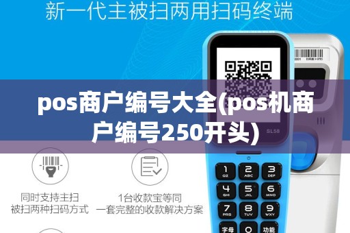 pos商户编号大全(pos机商户编号250开头)