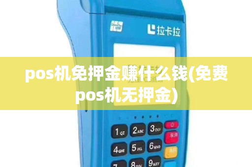 pos机免押金赚什么钱(免费pos机无押金)