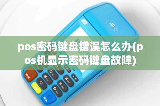 pos密码键盘错误怎么办(pos机显示密码键盘故障)