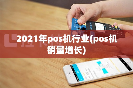 2021年pos机行业(pos机销量增长)