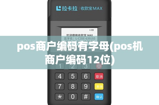 pos商户编码有字母(pos机商户编码12位)