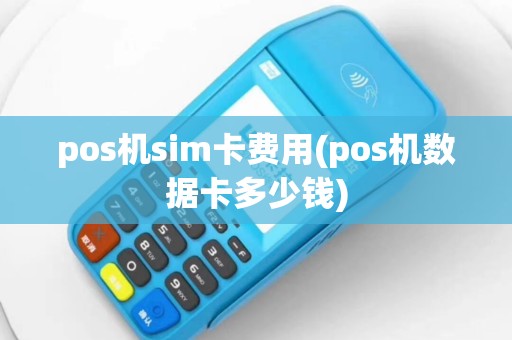 pos机sim卡费用(pos机数据卡多少钱)