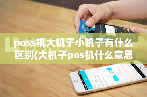 poss机大机子小机子有什么区别(大机子pos机什么意思)