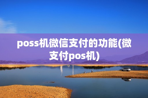poss机微信支付的功能(微支付pos机)