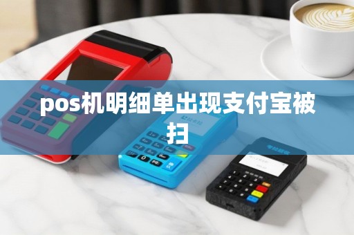 pos机明细单出现支付宝被扫