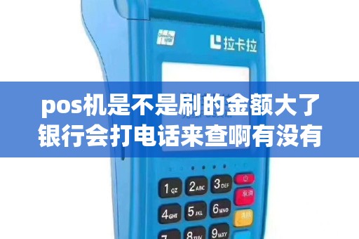 pos机是不是刷的金额大了银行会打电话来查啊有没有办...