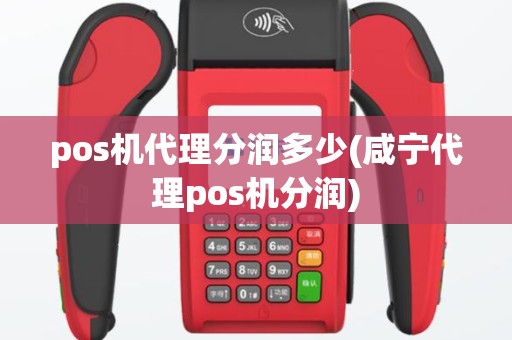 pos机代理分润多少(咸宁代理pos机分润)