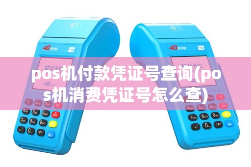 pos机付款凭证号查询(pos机消费凭证号怎么查)