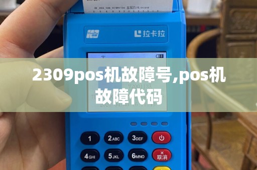 2309pos机故障号,pos机故障代码