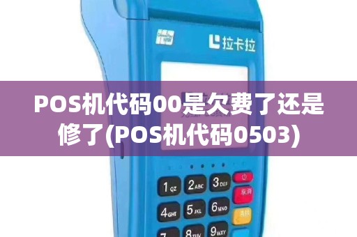 POS机代码00是欠费了还是修了(POS机代码0503)