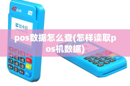 pos数据怎么查(怎样读取pos机数据)
