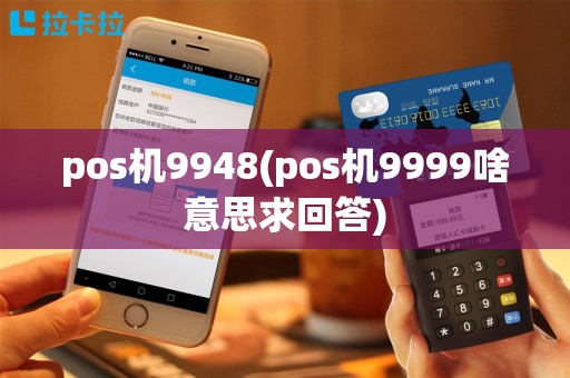 pos机9948(pos机9999啥意思求回答)