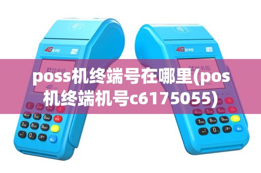 poss机终端号在哪里(pos机终端机号c6175055)