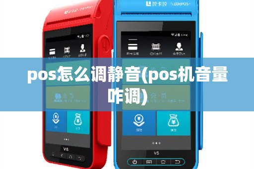 pos怎么调静音(pos机音量咋调)