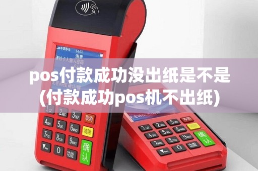 pos付款成功没出纸是不是(付款成功pos机不出纸)