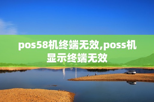 pos58机终端无效,poss机显示终端无效