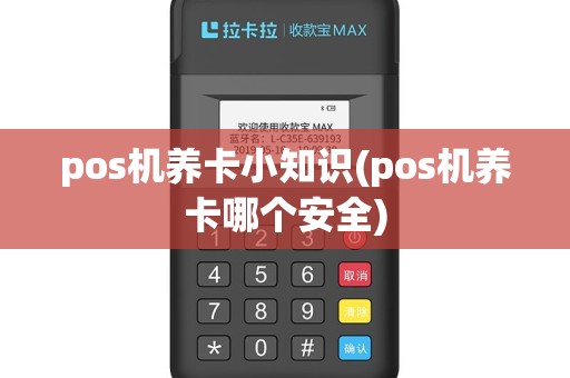 pos机养卡小知识(pos机养卡哪个安全)