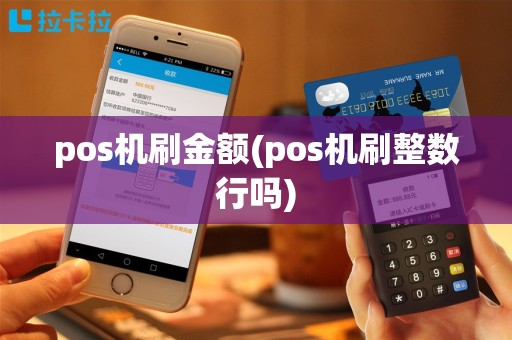 pos机刷金额(pos机刷整数行吗)