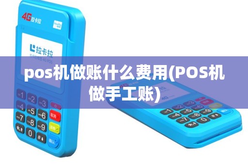 pos机做账什么费用(POS机做手工账)