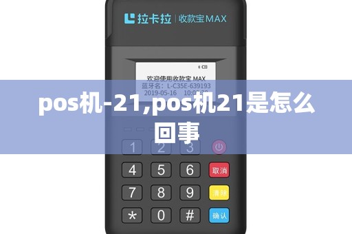 pos机-21,pos机21是怎么回事