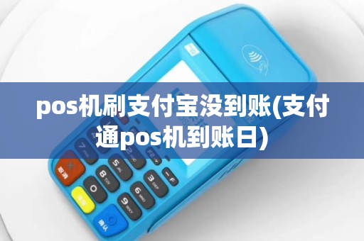 pos机刷支付宝没到账(支付通pos机到账日)