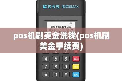 pos机刷美金洗钱(pos机刷美金手续费)