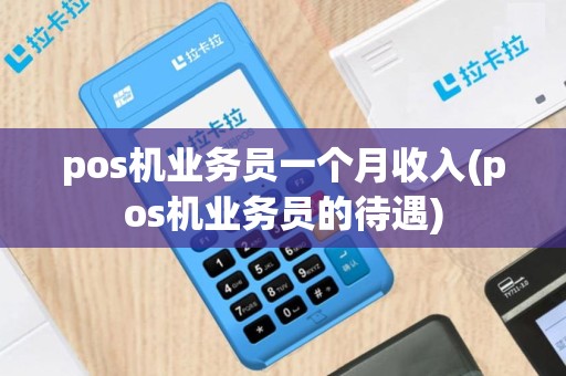 pos机业务员一个月收入(pos机业务员的待遇)