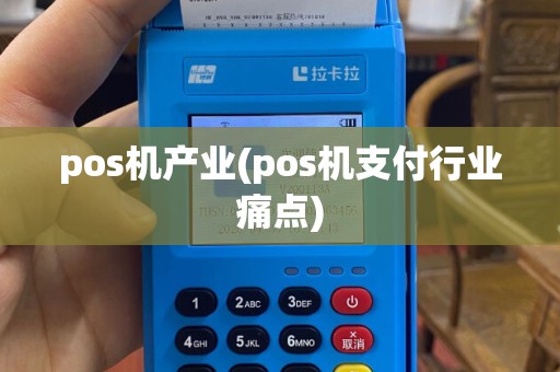 pos机产业(pos机支付行业痛点)