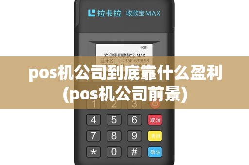 pos机公司到底靠什么盈利(pos机公司前景)