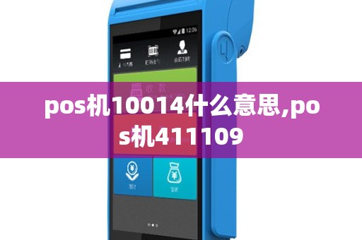 pos机10014什么意思,pos机411109