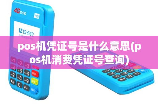 pos机凭证号是什么意思(pos机消费凭证号查询)