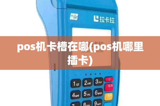pos机卡槽在哪(pos机哪里插卡)