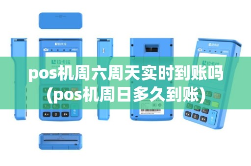 pos机周六周天实时到账吗(pos机周日多久到账)