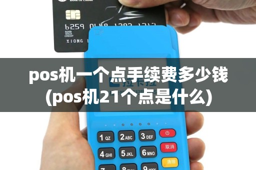 pos机一个点手续费多少钱(pos机21个点是什么)
