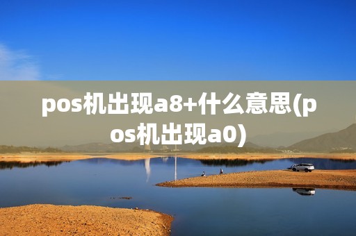 pos机出现a8+什么意思(pos机出现a0)