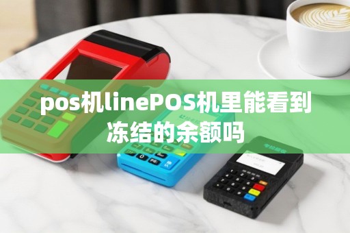 pos机linePOS机里能看到冻结的余额吗