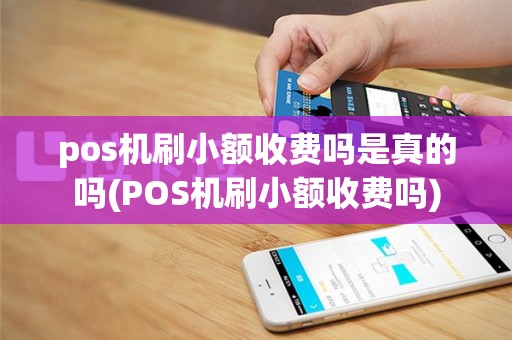 pos机刷小额收费吗是真的吗(POS机刷小额收费吗)