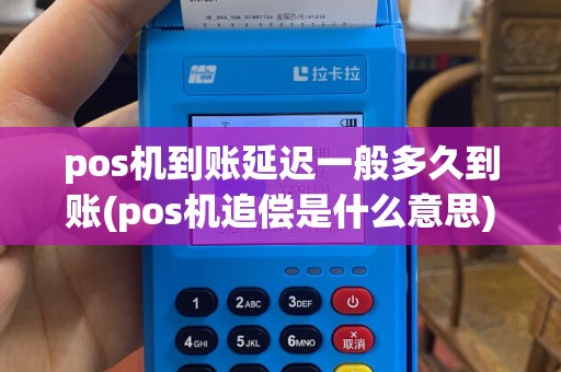 pos机到账延迟一般多久到账(pos机追偿是什么意思)