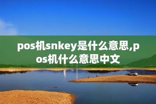 pos机snkey是什么意思,pos机什么意思中文